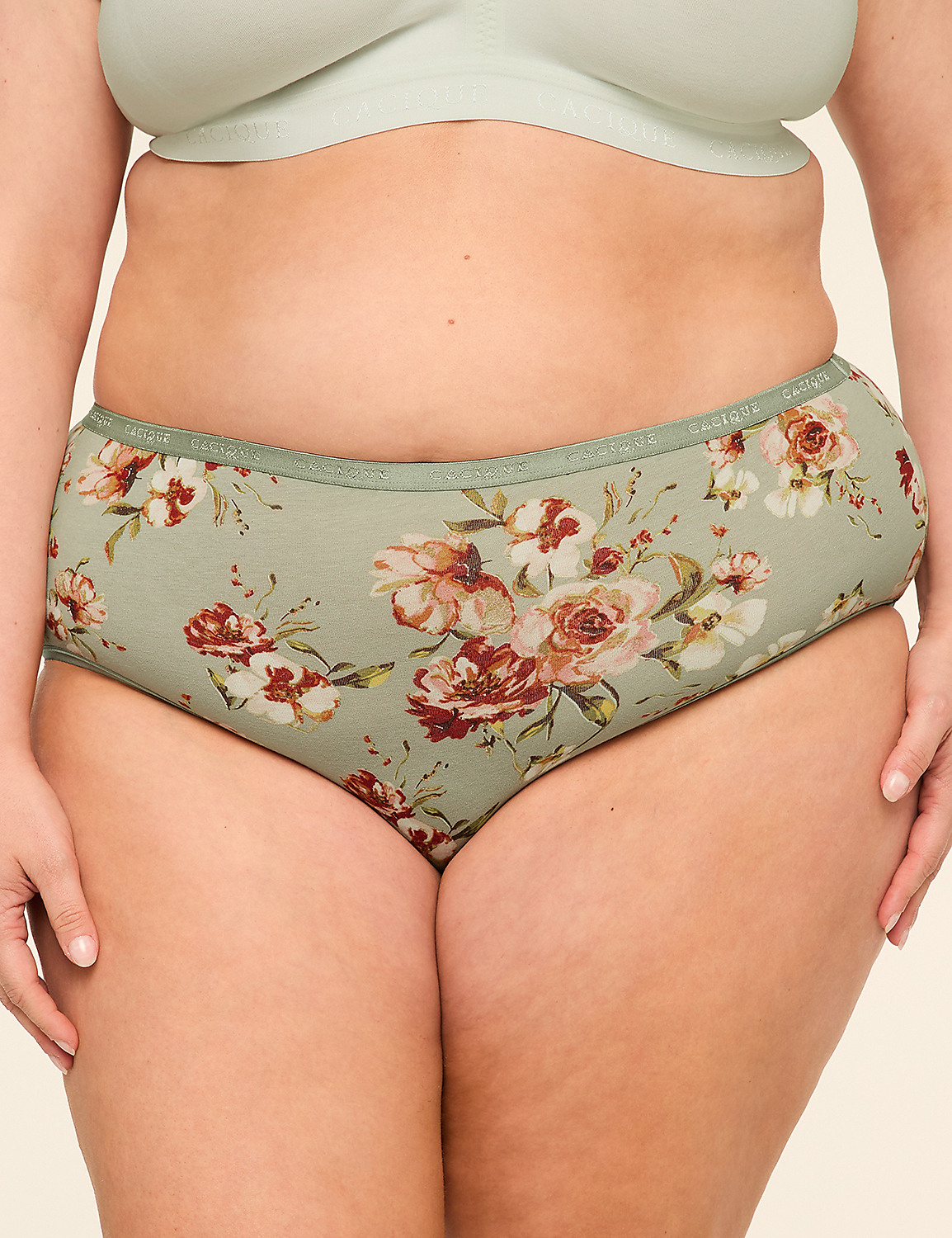 【新品.XXLサイズ】everyone ハイゲージcotton border Cotton High-Leg Brief Panty | LaneBryant