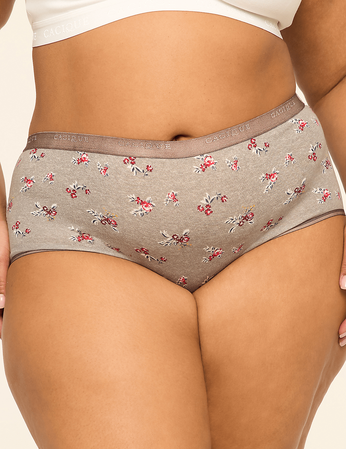 Cotton Full Brief Panty Product Image 1