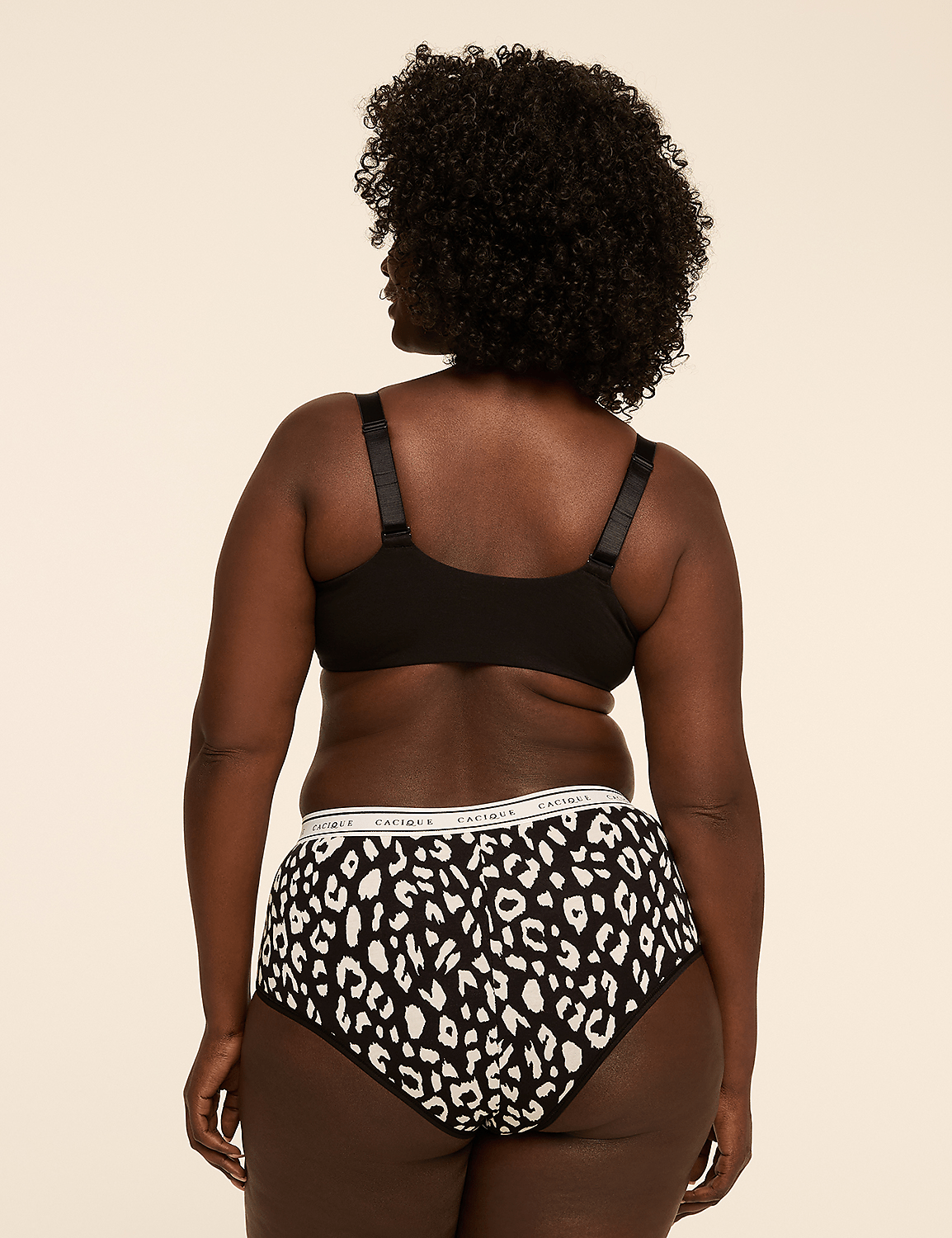 Cotton Cheeky Brief Panty Product Image 2