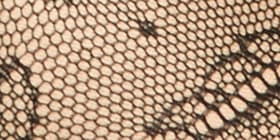 Unlined Full Coverage Bra with Lace