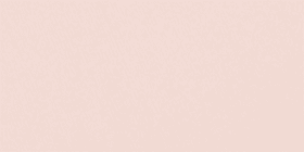 Comfort Bliss&reg; High-Waist Brief Panty