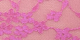 Allover Lace High-Leg Brief Panty
