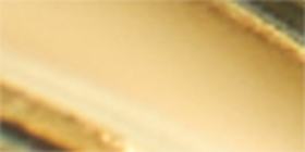 Goldtone Iridescent Hoop Earrings