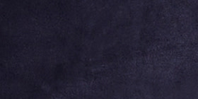 LIVI Velour Jogger