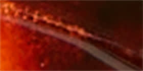 Textured Cateye Reading Glasses