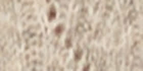 Collared V-Neck Sweater