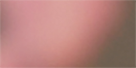 Pink Cateye Sunglasses