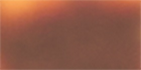 Tortoiseshell Print Chain-Detail Round Sunglasses