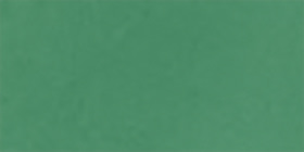 Green Goldtone-Detail Square Sunglasses