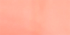 Orange Square Sunglasses