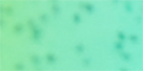 Glitter Pride Sunglasses