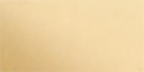 Goldtone Rectangular Earrings