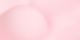 Pink Floral Claw Clip 2-Pack