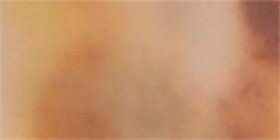 Tortoiseshell Print Square Sunglasses
