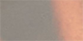 Tortoiseshell Print Square Sunglasses