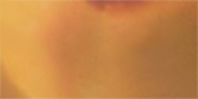 Tortoiseshell Print Rectangle Sunglasses