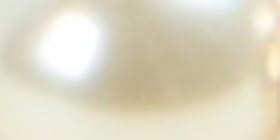 Goldtone & Pearlized Stretch Bracelet