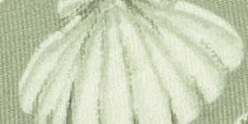 Cotton Boyshort Panty With Wide Waistband