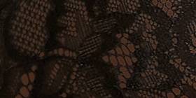 Lace Halter-Neck Bodysuit