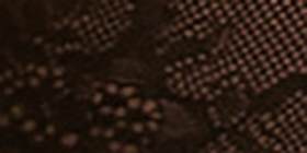 Lace Maxi Slip