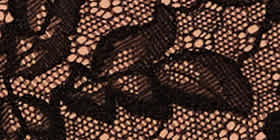 Lace Cheeky Brief Panty