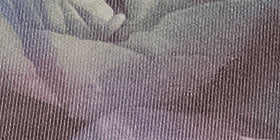 Cheeky Brief Panty