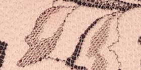 Lace Unlined Full Coverage Bra