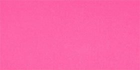Comfort Bliss&reg; French Cut Brief Panty