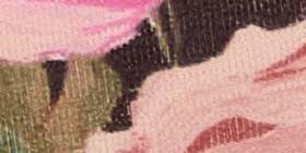 Cotton High-Leg Brief Panty