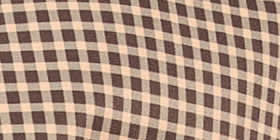 Gingham Hooded Jacket