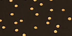 Foil Dot Tiered Swing Dress
