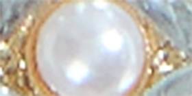 Pearlized & Imitation Stone Necklace & Earring Set