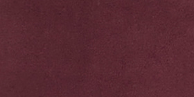 LIVI Velour Jogger